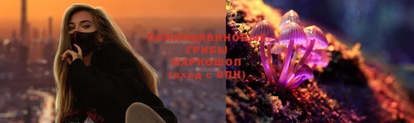 apvp Алексин