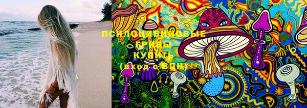 прущие крисы Алексеевка